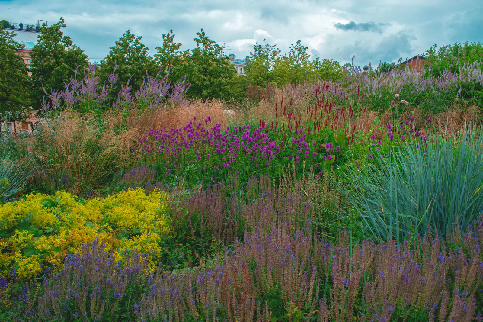 Lush urban garden with diverse perennials and greenery